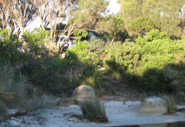 Campingplatz in den Dünen
